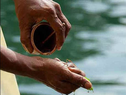 Mahalaya Amavasya: Honoring Ancestors with Gratitude